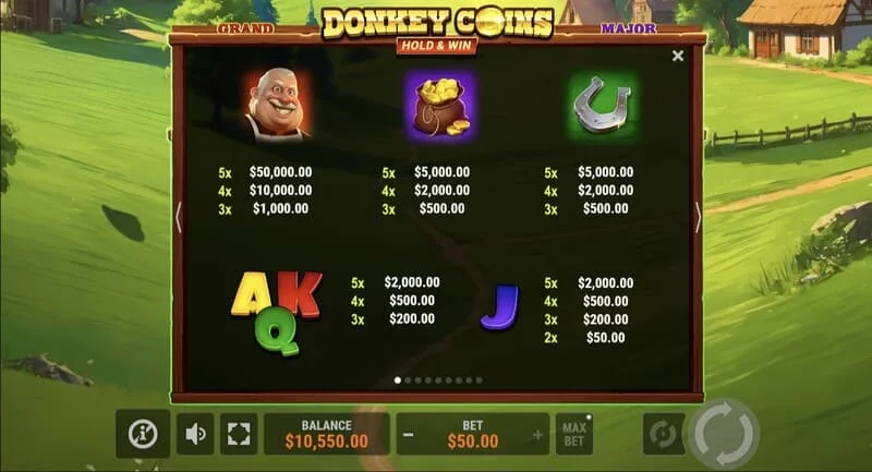 Donkey Coins Hold & Win - polje s ljepljivim Coin žetonima